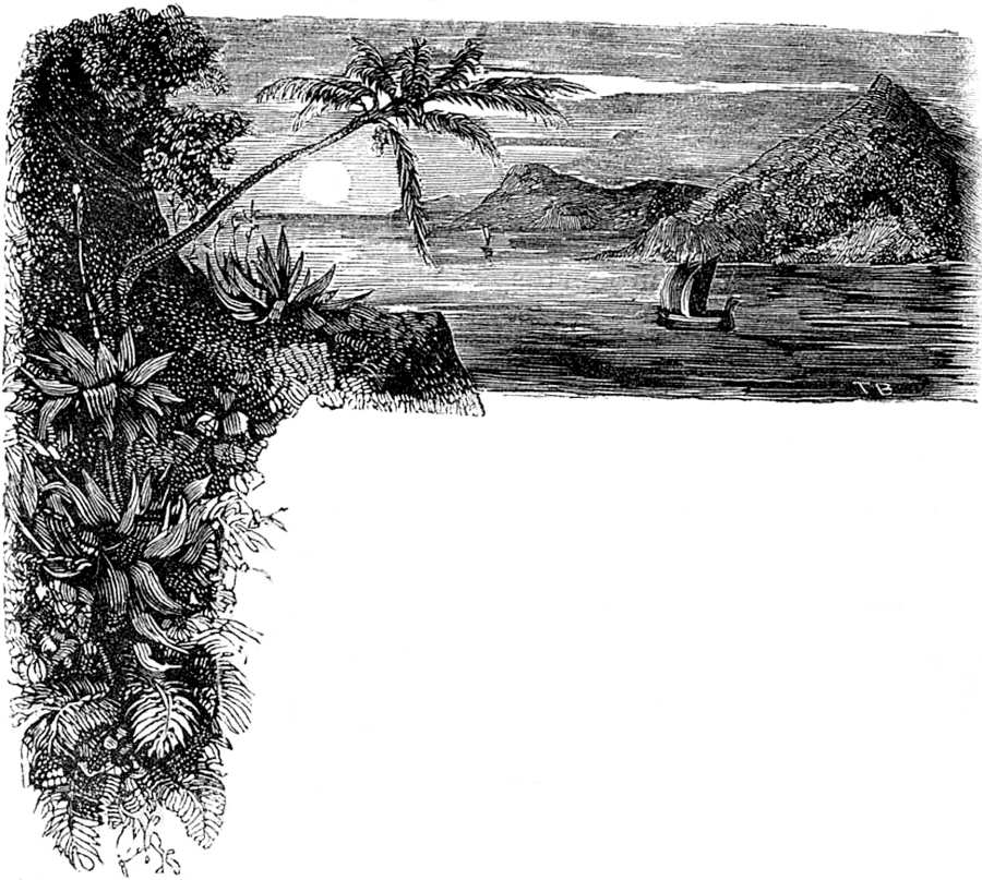 Cabecera ilustrada