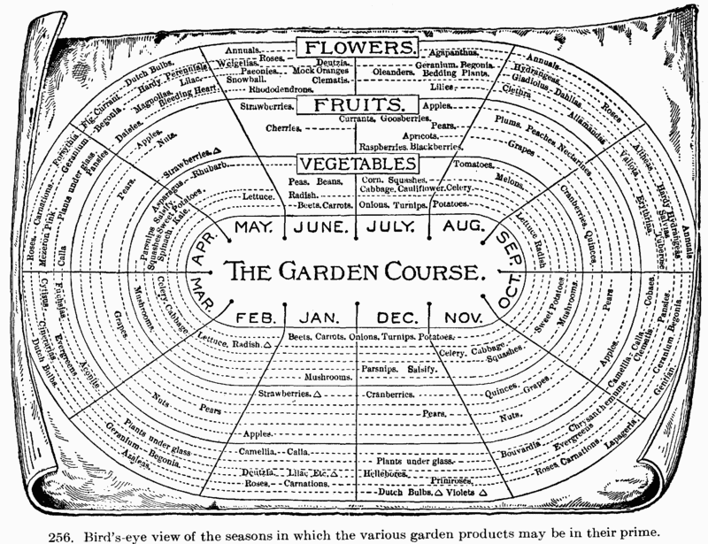 [Illustration: Fig. 318. Bird&rsquo;s-eye view of the seasons in which the
various garden products may be in their prime.]